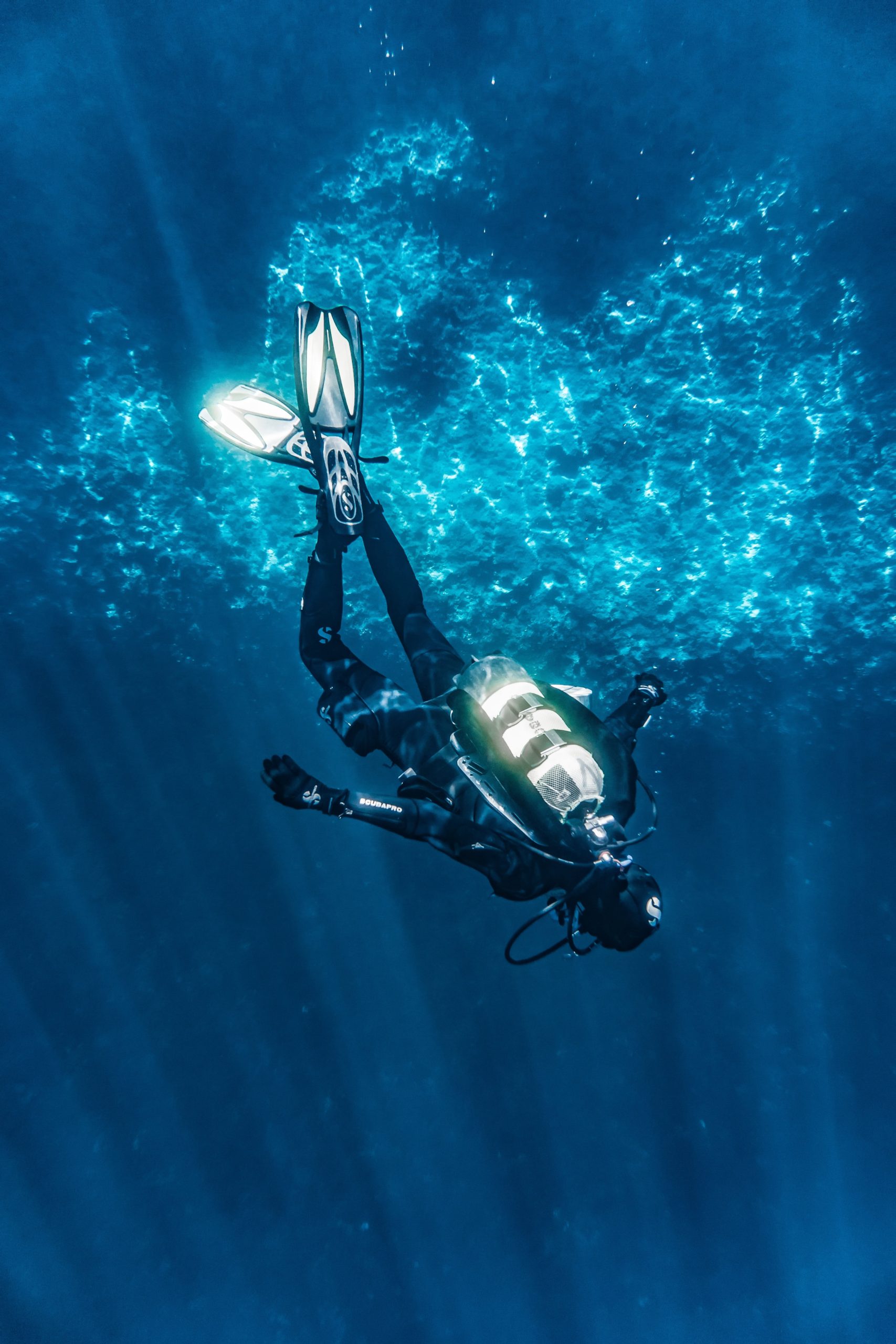 person-diving-on-blue-water-3046637-min – The Dive Watch Blog